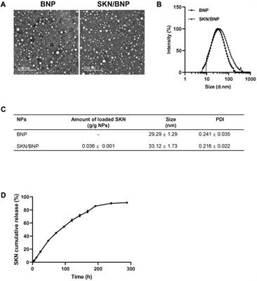 PLA-HPG based coating enhanced anti-biofilm and wound healing of Shikonin in MRSA-infected burn wound